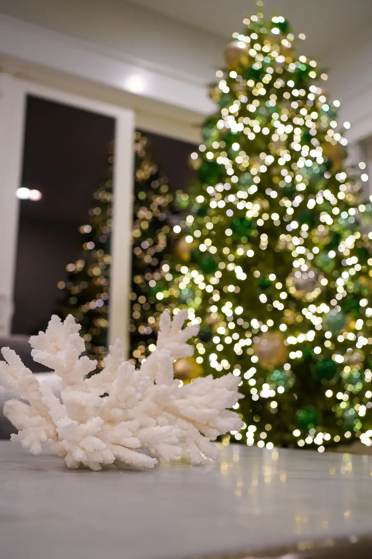 White coral in front of a lit Christmas tree