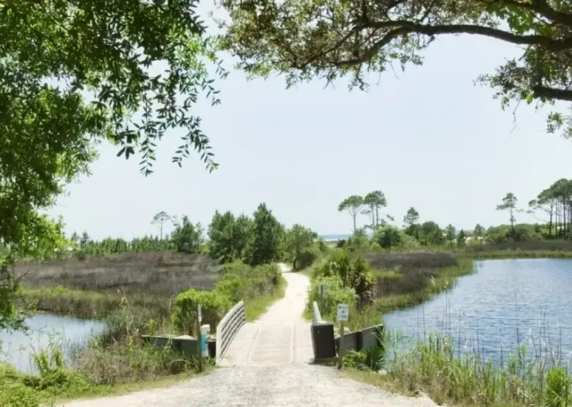 Camp Helen State Park