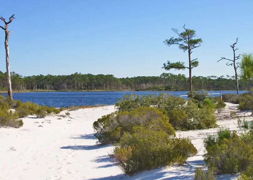 Topsail Hill Preserve State Park