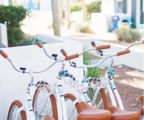 Bike Rentals