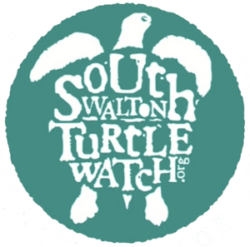 Sea turtle nesting area on 30A beach